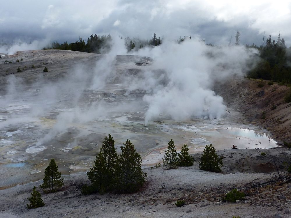 Yellowstone Norris Geyser (124).JPG